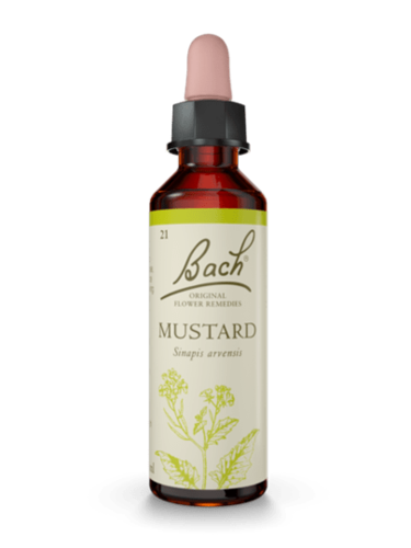 Mustard 20 ml תמצית מס' 21 | פרחי באך