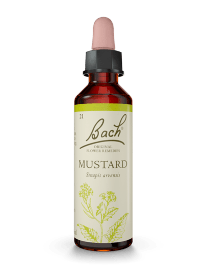 Mustard 20 ml תמצית מס