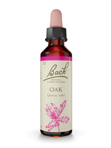 Oak 20 ml תמצית מס' 22 | פרחי באך