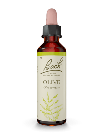 Olive 20 ml תמצית מס