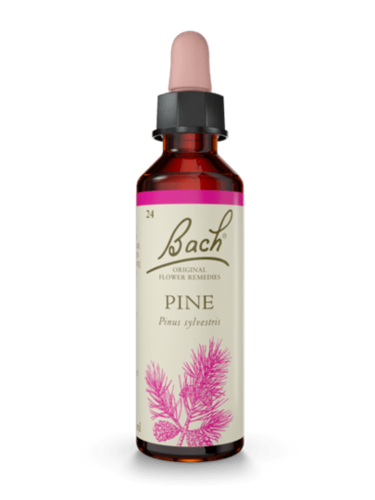 Pine 20 ml תמצית מס' 24 | פרחי באך
