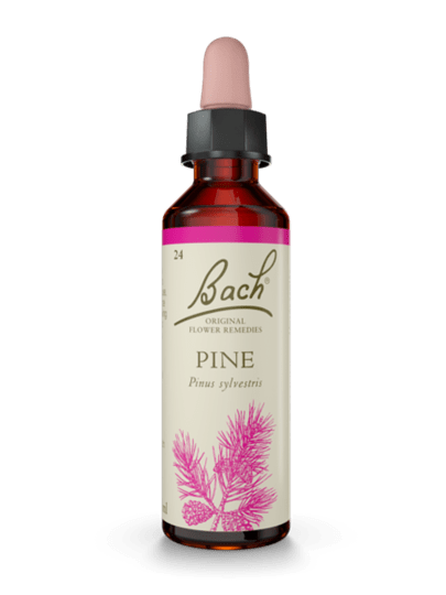 Pine 20 ml תמצית מס