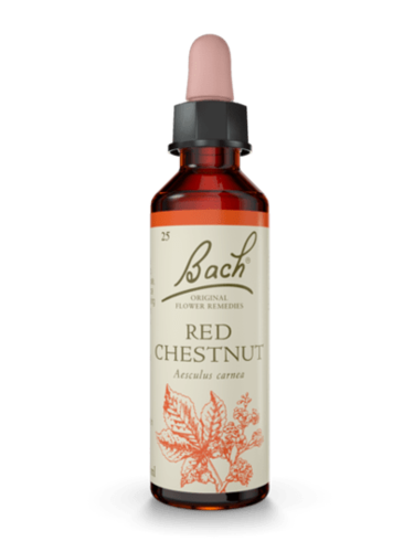 Red Chestnut 20 ml תמצית מס' 25 | פרחי באך