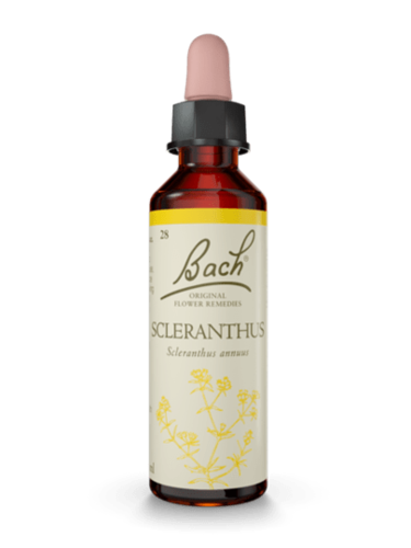 Scleranthus 20 ml תמצית מס' 28 | פרחי באך