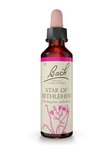 Star of Bethlehem 20 ml תמצית מס' 29 | פרחי באך