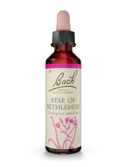 Star of Bethlehem 20 ml תמצית מס