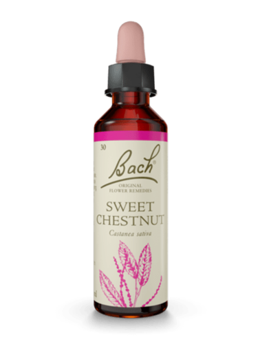 Sweet Chestnut 20 ml תמצית מס' 30 | פרחי באך