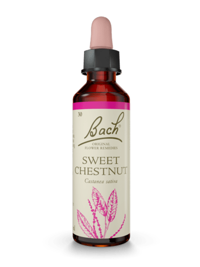 Sweet Chestnut 20 ml תמצית מס