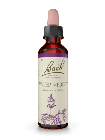 Water Violet 20 ml תמצית מס