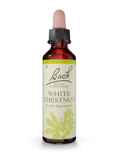 White Chestnut 20 ml תמצית מס' 35 | פרחי באך