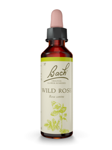 Wild Rose 20 ml תמצית מס 37 | פרחי באך