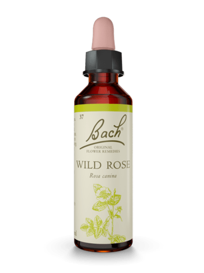 Wild Rose 20 ml תמצית מס 37 | פרחי באך