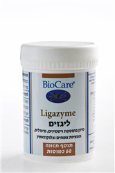 Ligazyme ליגזים תמיכה לשריר ולעצם 60 כמוסות ביוקר