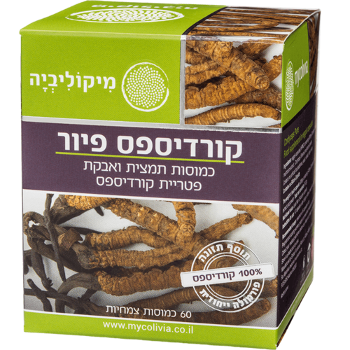 קורדיספס פיור 60 קפסולות צמחיות מיקוליביה