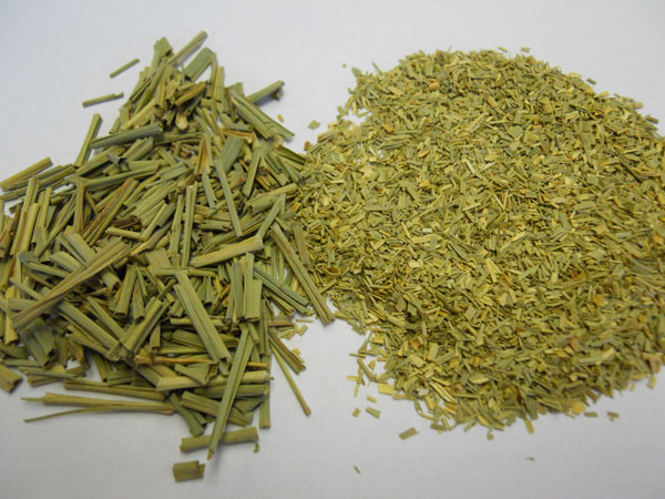 לימונית עלווה 50 גרם / Cymbopogon Citrus / Lemongrass