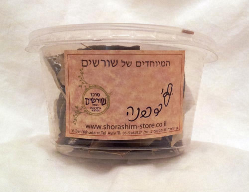עלי דפנה, בית טבע שורשים