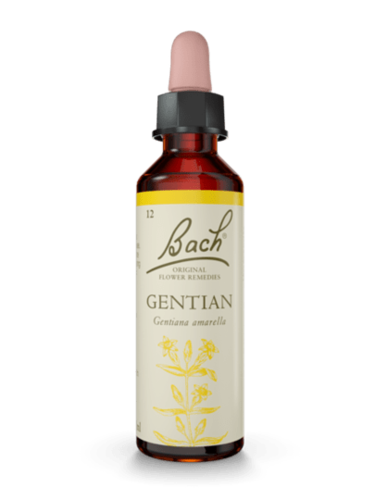 Gentian 20 ml תמצית מס' 12 | פרחי באך