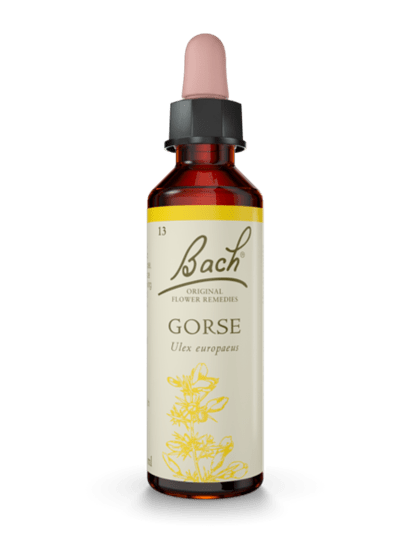 Gorse 20 ml תמצית מס