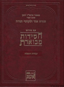 חסידות מבוארת עבודת התפילה