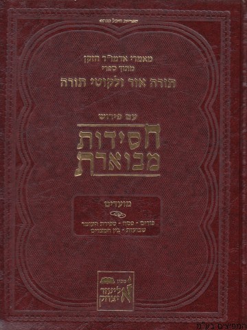 חסידות מבוארת מועדים ב'