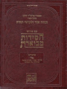 חסידות מבוארת מועדים ב'