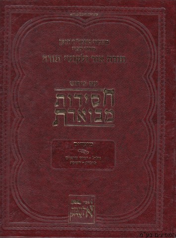 חסידות מבוארת מועדים א'