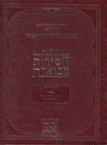 חסידות מבוארת מועדים א'
