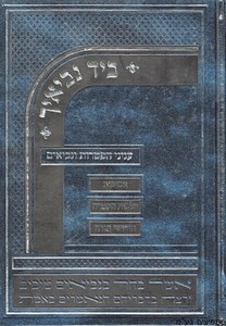 ביד נביאיך