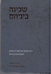שכינה בינהם