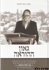 גאון ההוראה