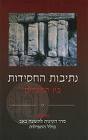 נתיבות החסידות בין המצרים