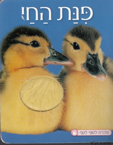 פינת החי
