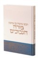 מורה נבוכים 