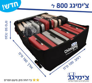 צ