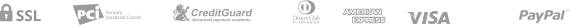 payment_icon
