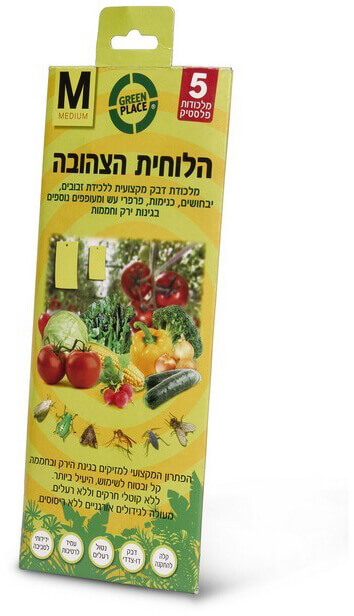 הלוחית הצהובה M