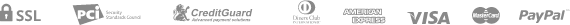 payment_icon