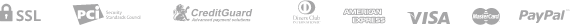 payment_icon