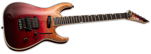 זוית נוספת ESP LTD MH-1000HS