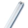25 נורות פלורסנט  L 36W/10-765 D.L OSRAM