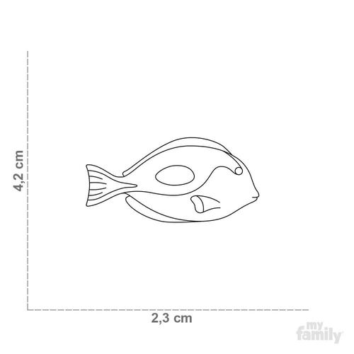 ZO26SURGEONFISHES  ווילד myfamily