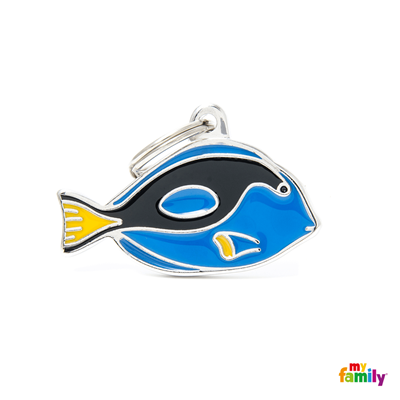 ZO26SURGEONFISHES  ווילד myfamily