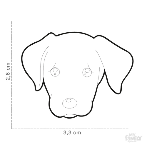 LABRADO CHOCOLAE/BLACK MF31 myfamily