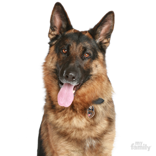 GERMAN SHEPHERD- MF14N myfamily