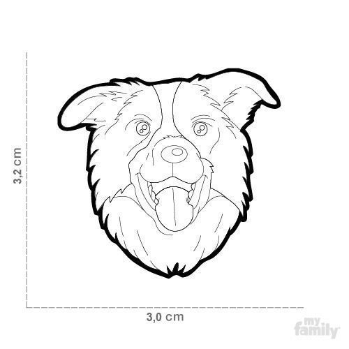   BORDER COLLIE-MF16 myfamily 