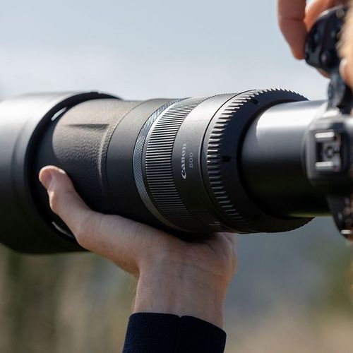עדשה Canon RF 800mm f/11 IS STM יבואן רשמי