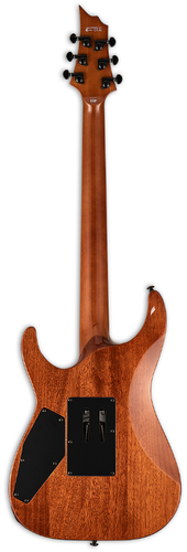זווית נוספת ESP LTD H-1001FR
