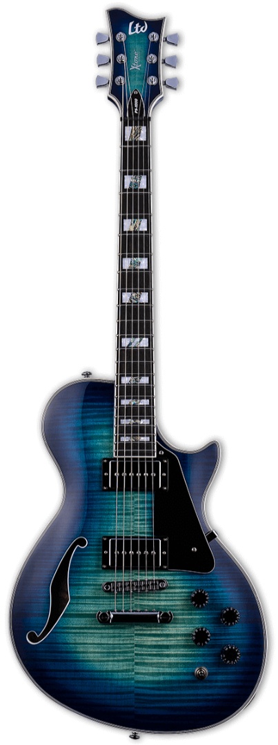 גיטרה חשמלית ESP LTD PS-1000FM