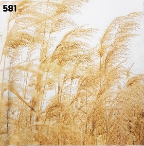 מפיות נפקינג  שיבולים  20 יח' 