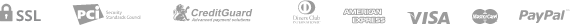 payment_icon